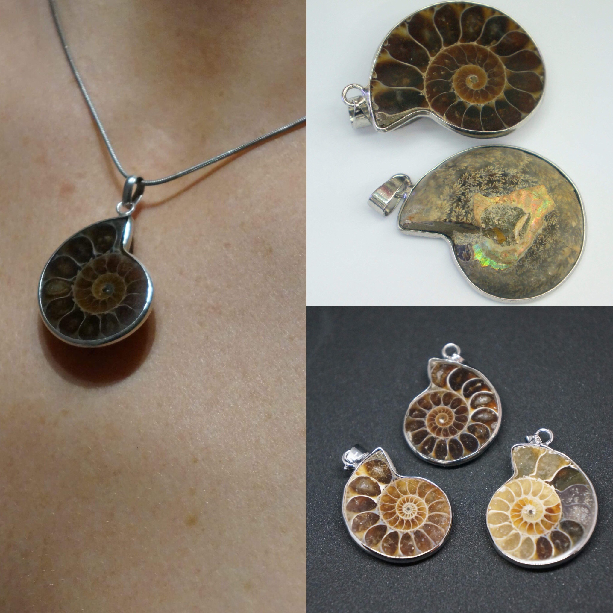 Pendentif Ammonite 