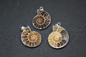 Pendentif Ammonite 